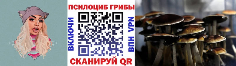 Псилоцибиновые грибы прущие грибы дарнет шоп Гаджиево