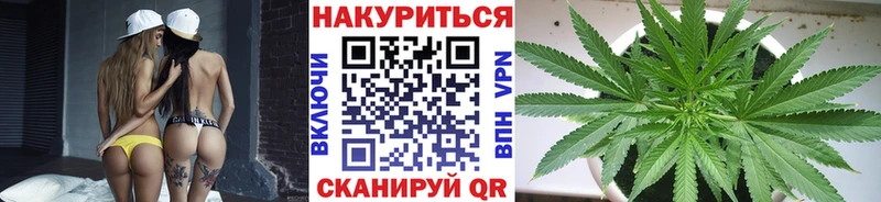 Конопля Amnesia  мега онион  Гаджиево 